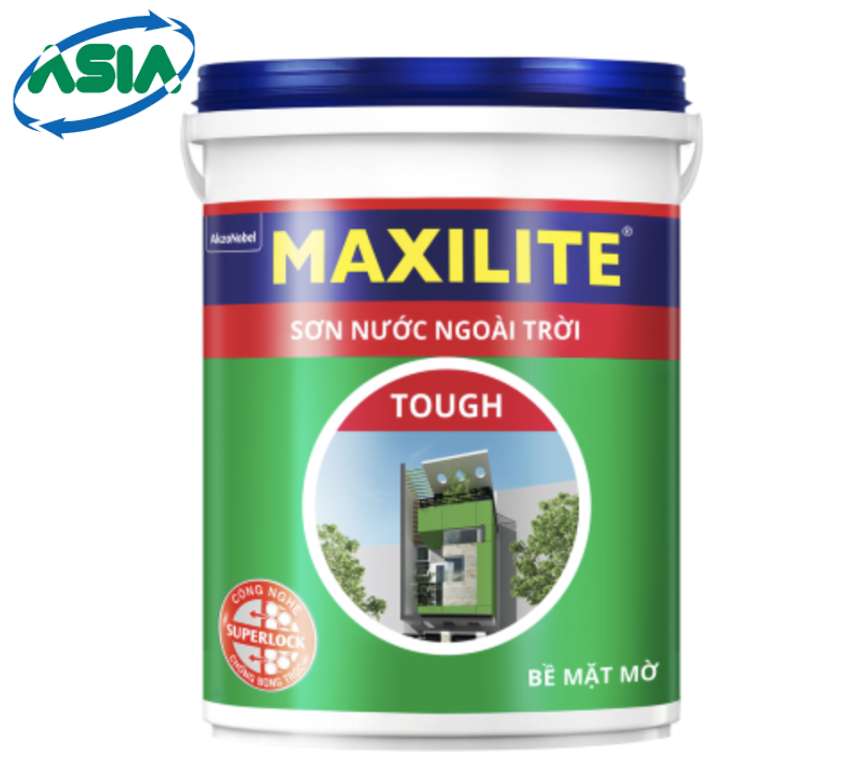 SƠN NƯỚC NGOÀI TRỜI MAXILITE TOUGH